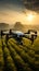 Precision farming drone analyzing farmers fields during a beautiful sunrise