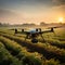 Precision farming drone analyzing farmers fields during a beautiful sunrise