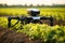 Precision farming with drones: technology in agriculture