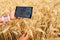 Precision farming. Farmer hands hold tablet using online data management software with maps at wheat field. Agronomist