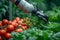 Precision farming Robotic arm harvesting vegetables symbolizes agricultural automation