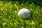 Precision and Focus: A Close-Up of a Golf Ball Resting on a Lush Green Lawn