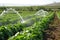 Precision irrigation systems and agricultural practices contributing to the efficient use of water in agriculture