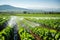 Precision irrigation systems and agricultural practices contributing to the efficient use of water in agriculture