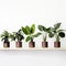 Precisionist-inspired Potted Plant Shelf With Dark Brown And Green Tones