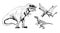 Predator dinosaurs set: Tiranosaurus, Velociraptor, Pterodactyl, hand drawn black and white doodle sketch, ink drawing