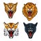 Predatory animals set. Leopard. Lion. Tiger. Panther.