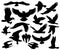 Predatory eagle or falcon hawk birds silhouettes