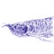Predatory fish Arowana closeup . Hand made sketch with ballpoint pen on paper texture. Isolated on white