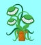 Predatory flower with teeth isolated. Flytrap vector illustration