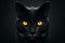 Predatory gaze of a black cat, orange eyes, dark background. The concept of predatory animals, wildlife, food pyramid. 3D