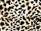Predatory leopard print. Stylized abstract texture of stains. Vector illustration