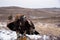 Predatory steppe eagle.