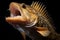 A predatory toothy yellow fish opened its mouth. Close-up. Generated by AI