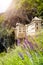 Predjama castle and wild flowers