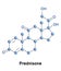 Prednisone is a synthetic corticosteroid