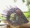 Prefabricated rebar circle of house structure and bathroom renovation, small project of family.