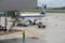 Preflight service of the Polish Airlines plane in Warsaw