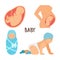 Pregnancy and baby vector illustration. Fetus unborn, newborn child