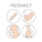 Pregnancy icon set. Linear simple illustration fertilization and childbirth. Motherhood signs. Vector