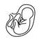 Pregnancy icon. An unborn baby in the womb. Linear stash.