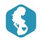 The pregnancy icon. A white silhouette of a pregnant curly-haired girl against a blue hexagon.
