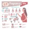 Pregnancy Infographics Set