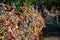 Pregnancy offerings at Koneswaram Temple in Trincomalee, Sri Lanka