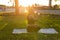 Pregnancy, sport and health lifestyle - pregnant woman drinking water from a bottle sitting on the grass in sunny summer