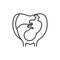 Pregnancy stage embryo in uterus with umbilical cord black line icon. Growth fetus development. Pictogram for web page