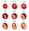 Pregnancy stages. Human growth stages embryo development egg fertility pregnancy stages vector infographic pictures