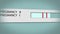 Pregnancy test in action. Two lines mean pregnant