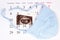 Pregnancy test, ultrasound scan of baby and clothing for newborn on calendar, expecting for baby