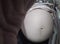 Pregnancy time pregnant women stomach