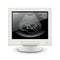 Pregnancy ultrasound screen isolated on white vector