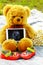 Pregnancy. Waiting for the child.Teddy bear with the ultrasound