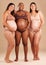 Pregnant, body and portrait of women in belly support touch, hope and community diversity on studio background. Smile