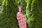 Pregnant girl near beautiful greenery. Beautiful pregnant woman in dress and touching belly stands near thuja. Future mother in a