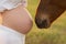 A pregnant girl in white communicates with a horse on a green meadow at sunset. Therapy and relaxation for pregnant women.