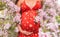 Pregnant woman belly closup with flowers. Pregnancy portrait in cherry blossom trees pink spring flowers. New season