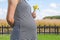 Pregnant woman hands give yellow wild flowers with sunny meadow and blue sky.Romantic and love feelings.