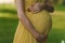 Pregnant woman holding bump, close-up