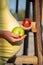 A pregnant woman holds an apple in her hands
