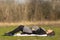 Pregnant woman resting on her back on the lawn