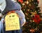 Pregnant woman showing belly with Christmas tree and `Do not open till Christmas Day` sign