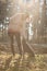 Pregnant woman standing in sunlit autumn forest reaching down to pet her black dog