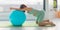 Pregnant woman training labor position stretch kneeling on birthing ball on her hands and knees stretching home