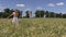 Pregnant woman walk between ripe barley crop ears