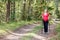 Pregnant woman walking in a summer forest using hiking poles