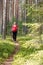 Pregnant woman walking in a summer forest using hiking poles